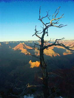 ANKLICKEN: Sunset am Grand Canyon