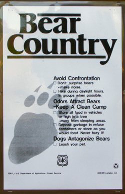 ANKLICKEN: Bear Country