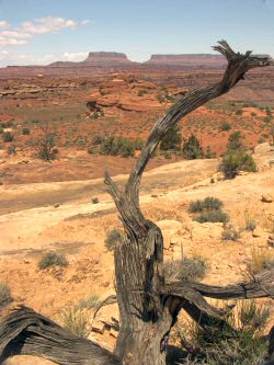 ANKLICKEN: Blick in das Canyonlands