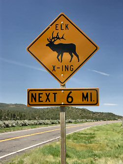 ANKLICKEN: Elk X-ing