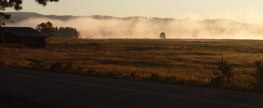 Morgenstimmung im Yellowstone