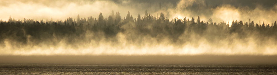 Yellowstone Nebel über dem Lake